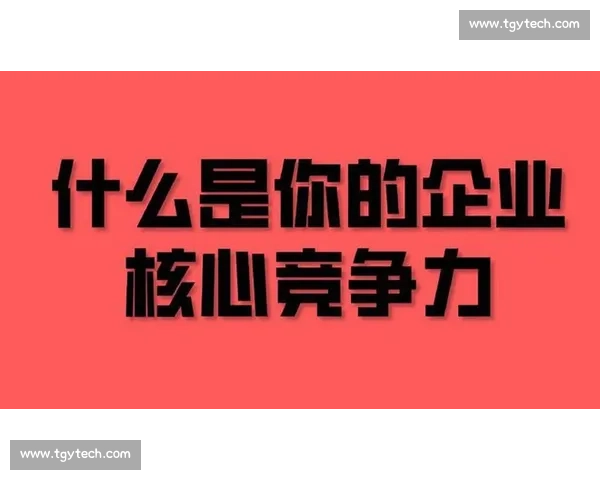 打造企业核心竞争力实现可持续发展与市场领先优势