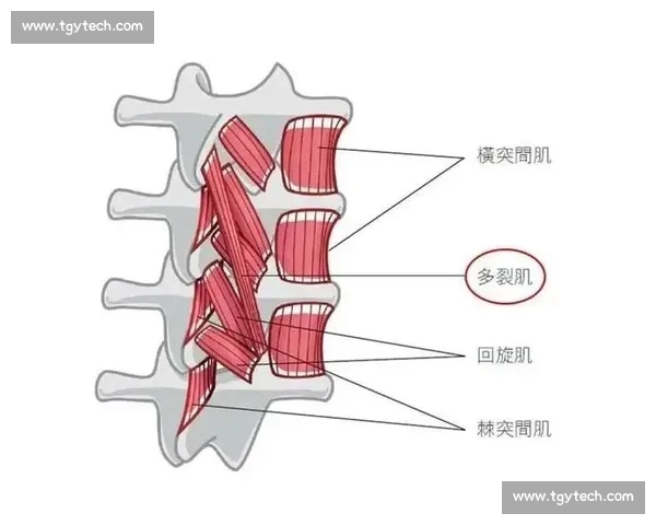 科学化体育运动训练方法提升运动员综合竞技能力研究
