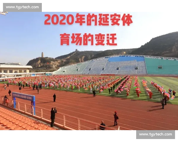 打造高效协作与胜利导向的现代体育团队策略研究